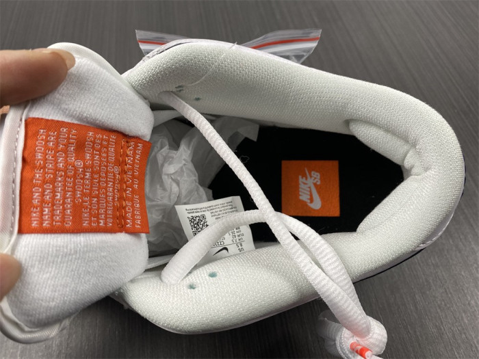 dunk low pro iso sb 