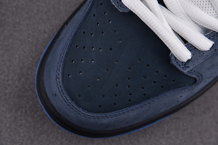 dunk low premium sb 