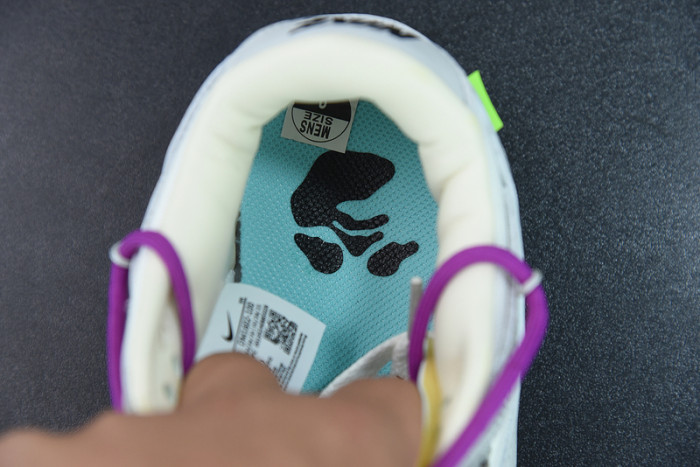 ofw x dunk low 